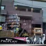 Veterinaria el Hornero