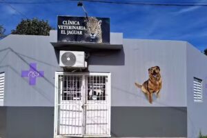 Veterinaria El Jaguar