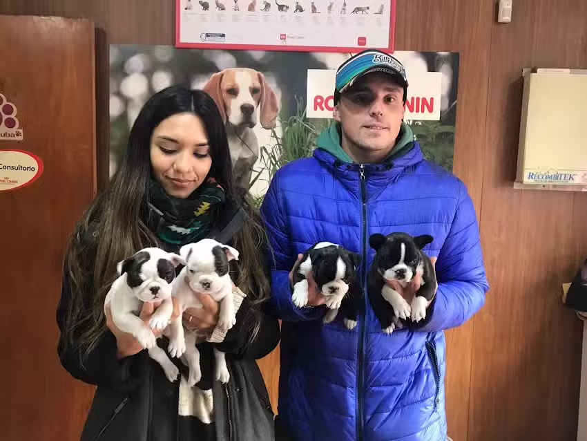 Veterinaria El Maiten