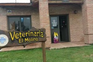 Veterinaria El Molino