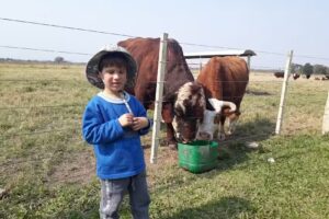 VETERINARIA EL MONTENEGRINO