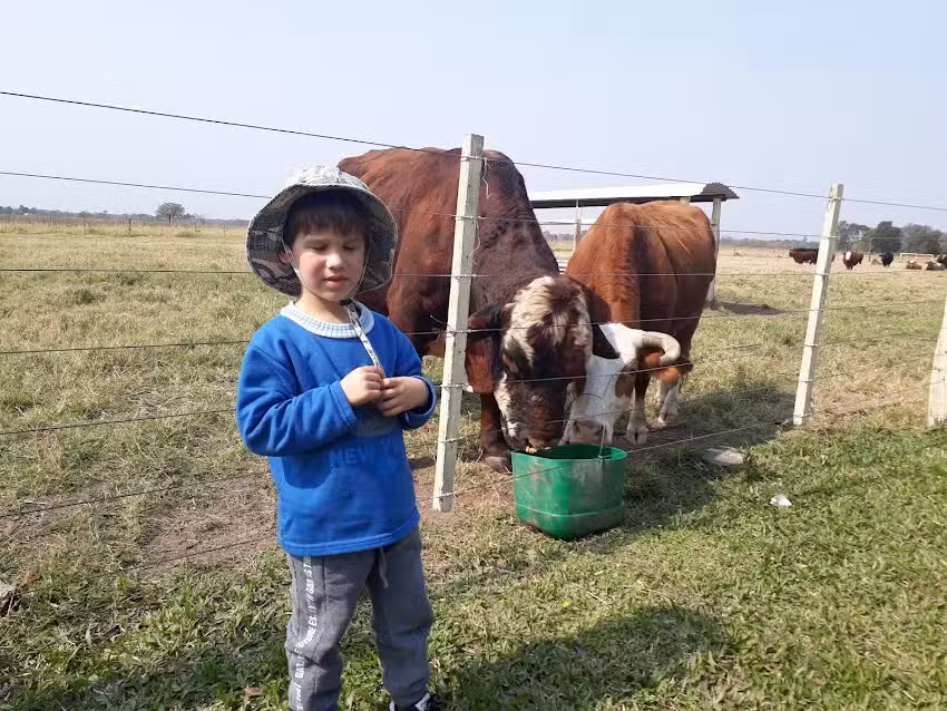 VETERINARIA EL MONTENEGRINO