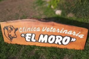 Veterinaria &rdquo; El Moro &ldquo;