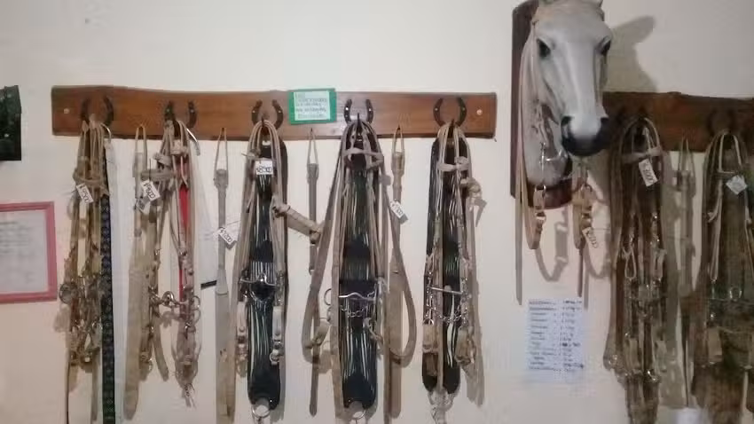 Veterinaria El Orejano