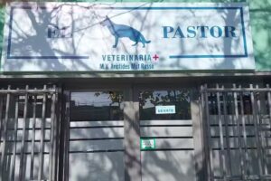 Veterinaria El Pastor MV Aristides Mut R