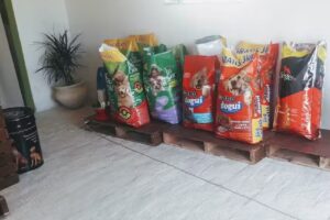 Veterinaria El Rodeo