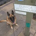 Veterinaria el Vasco