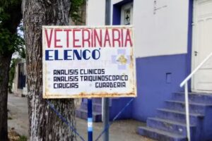 Veterinaria Elenc&oacute;