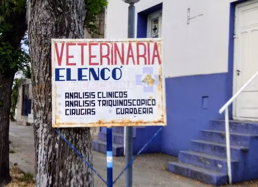 Veterinaria Elenc&oacute;
