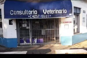 Veterinaria Entre Perros Y Gatos