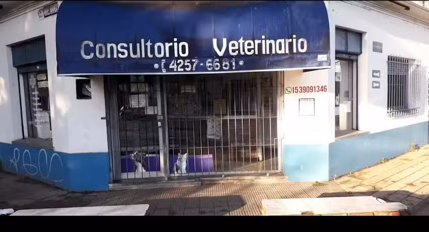 Veterinaria Entre Perros Y Gatos