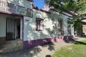 Veterinaria Estaci&oacute;n Mascotas