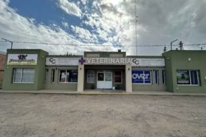 Veterinaria Estudio Ganadero Chascomus