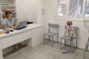 Veterinaria Euge Calsiano