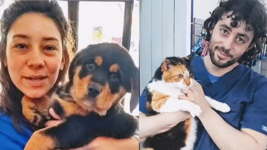 VETERINARIA FARMAVET