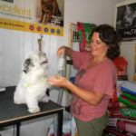 Veterinaria &ldquo;Fauna&rdquo;