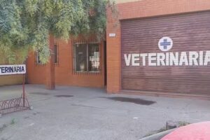 Veterinaria Ferrari