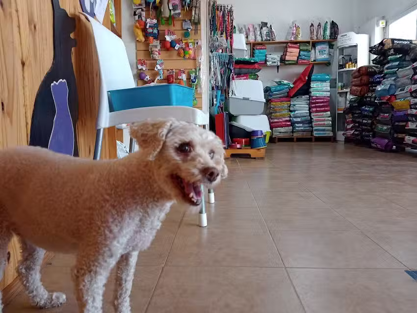 Veterinaria FISIOVET