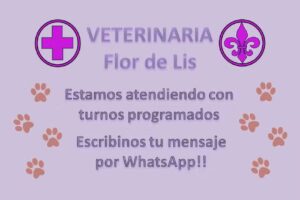 VETERINARIA Flor de Lis