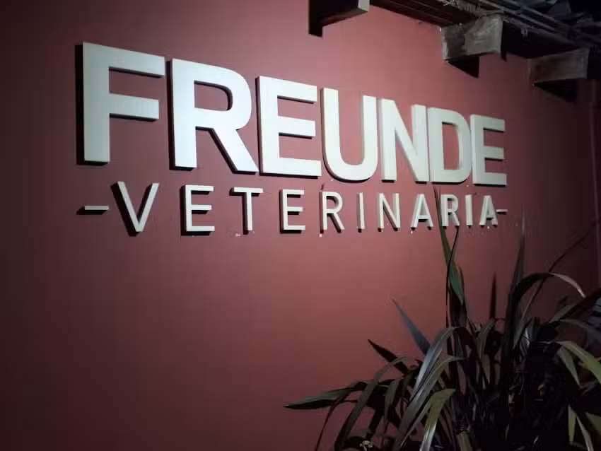 Veterinaria Freunde