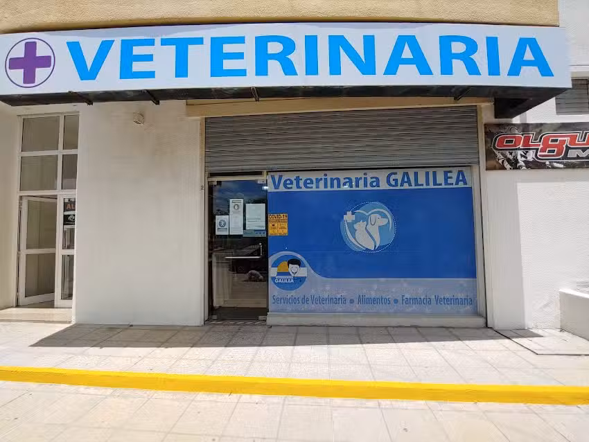 Veterinaria Galilea