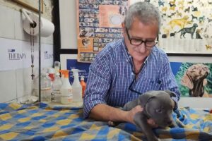 Veterinaria Gaspar Campos