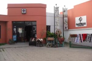 Veterinaria Gastellu