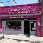 Veterinaria Gato y Mancha