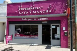 Veterinaria Gato y Mancha