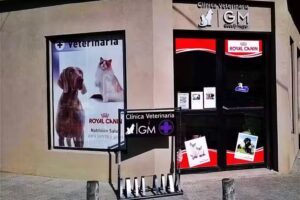 Veterinaria GM