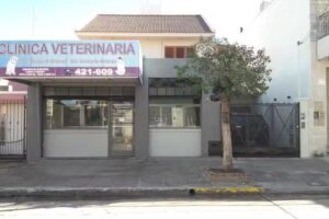 Veterinaria Goberna (GOBERNAVET)