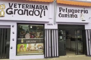 Veterinaria grandoli