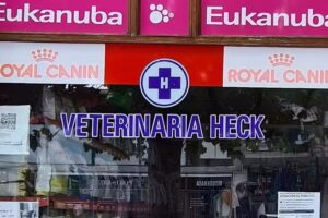 Veterinaria Heck