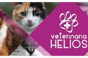 Veterinaria Helios