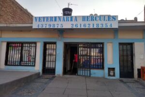 VETERINARIA H&Eacute;RCULES