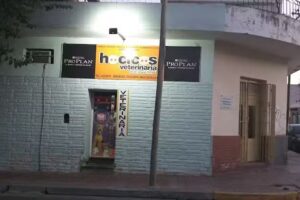 Veterinaria Hocicos