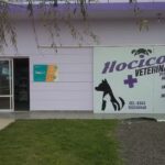 Veterinaria Hocicos