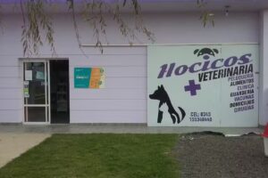 Veterinaria Hocicos