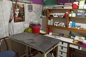 Veterinaria Hocicos y Patitas