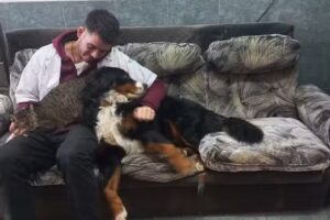 Veterinaria Hol&iacute;stica del Rabal