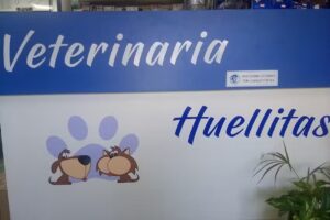 Veterinaria Huellitas