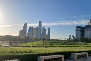 Veterinaria Ignacio Ruberto