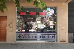 Veterinaria Ilari