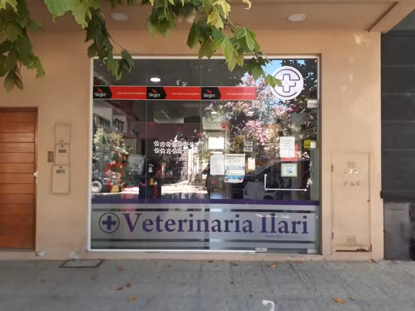 Veterinaria Ilari