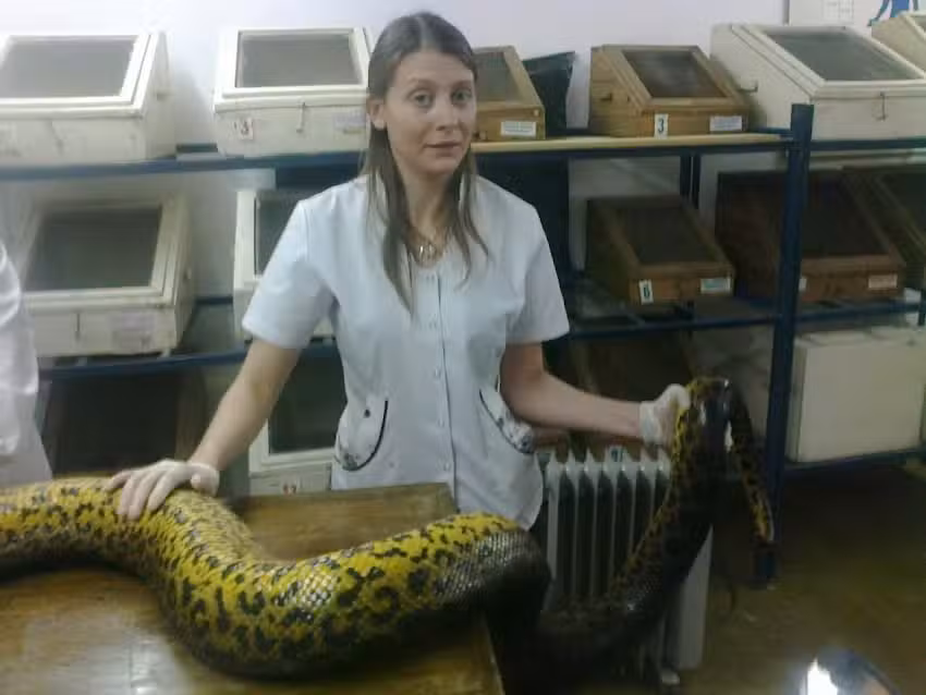 Veterinaria Imhoff