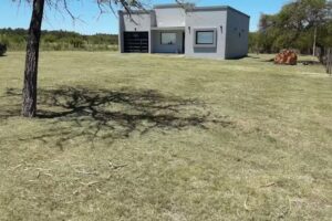 Veterinaria Jacquet 2