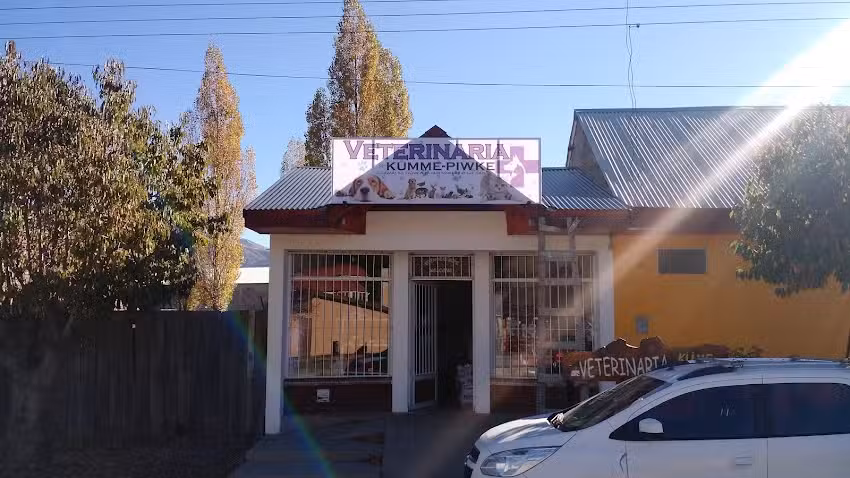 Veterinaria Kume Piwke