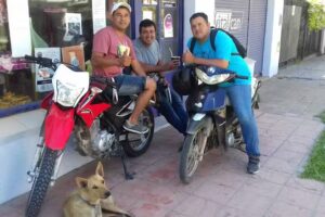 VETERINARIA LA CUCHA-CLINICA-CIRUGIA-ENVIOS