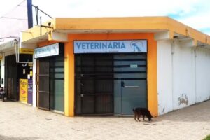 Veterinaria- La Esquina de tu Mascota