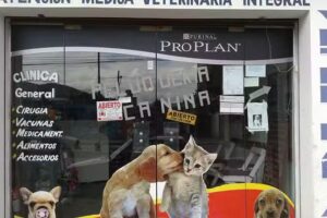 Veterinaria La Felicidad